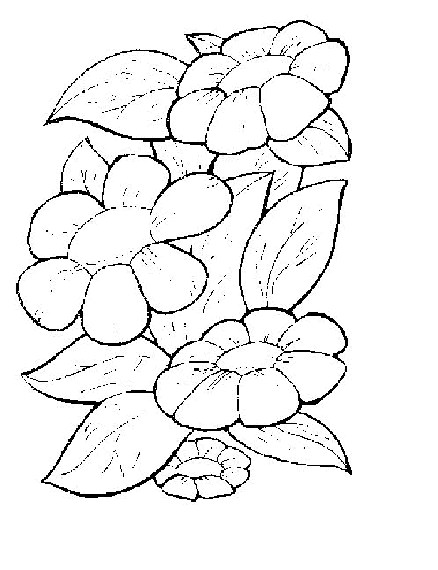 Flower Coloring Pages 10 | Free Printable Coloring Pages 