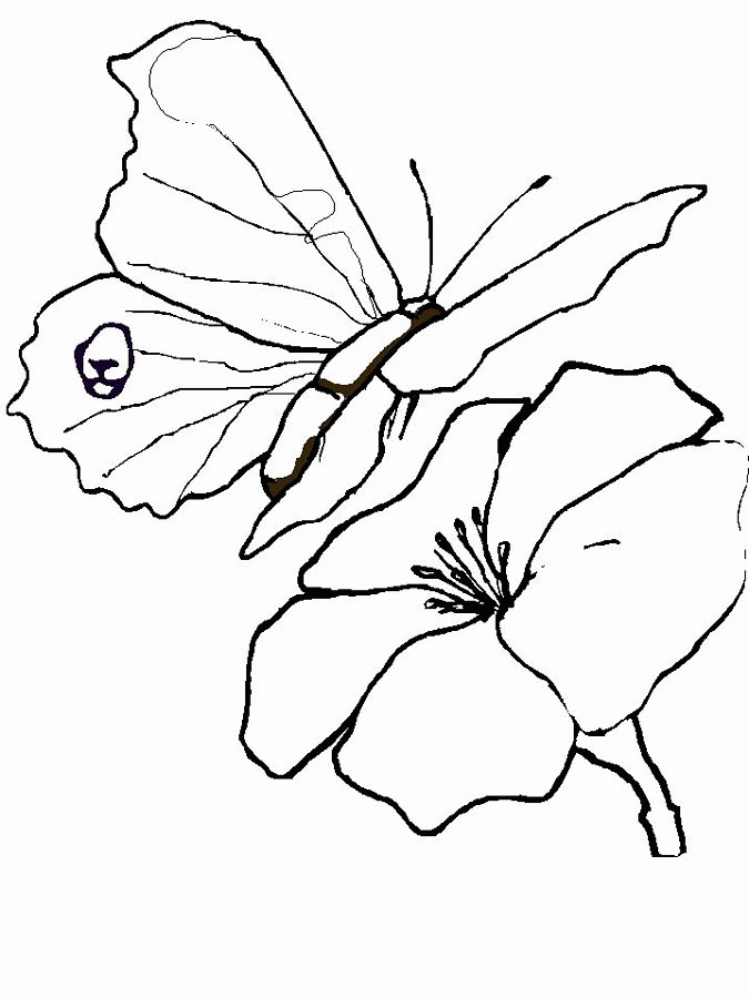 Spring Coloring Pages SPRING TIME! Free Printable Coloring Pages 