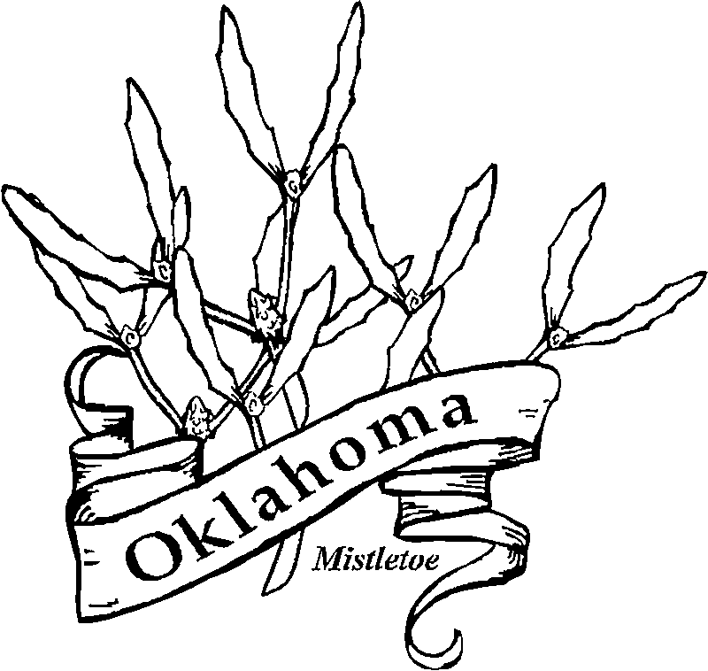 Ohio State Flower Coloring Page