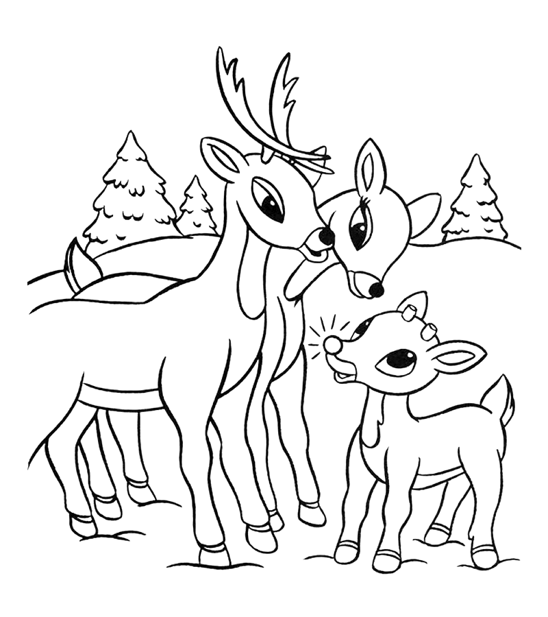 Reindeer Coloring Pages - Free Christmas Coloring Pages