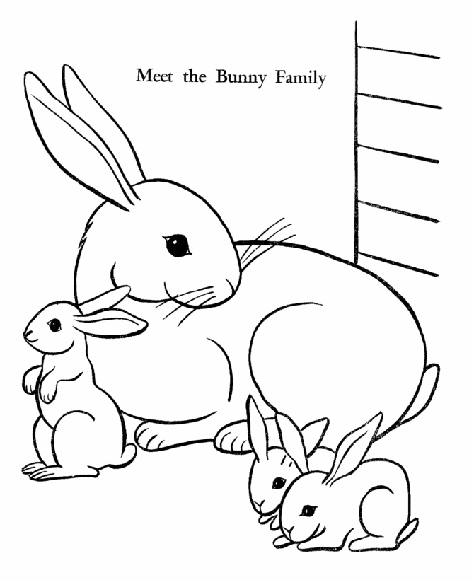 Coloring Pages Of Baby Bunnies Images & Pictures - Becuo