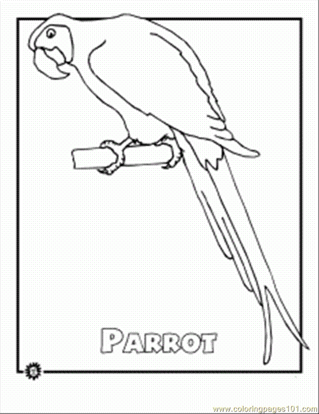Free Rainforest Coloring Pages 341 | Free Printable Coloring Pages