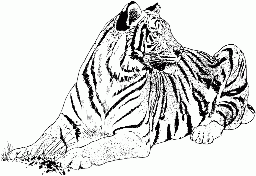 Tiger Coloring Page - Free Coloring Pages For KidsFree Coloring 