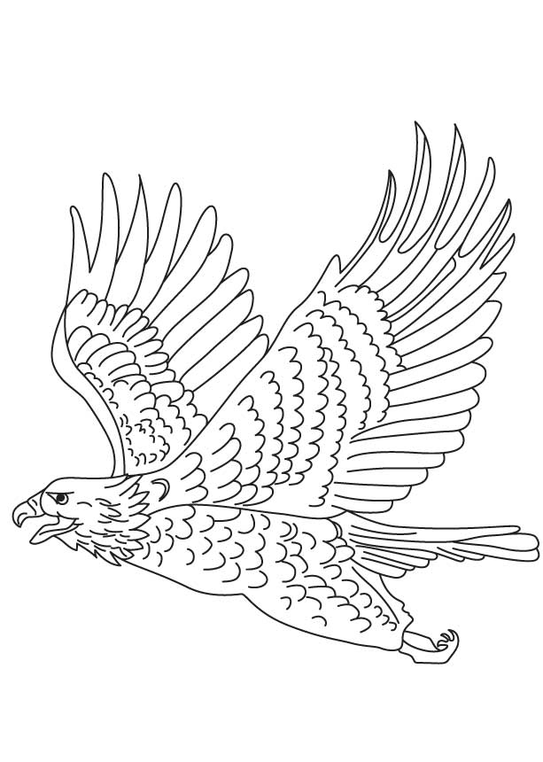 Short toed snake eagle coloring page | Download Free Short toed 
