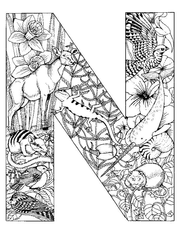 Coloring pages animals alphabet - picture 27