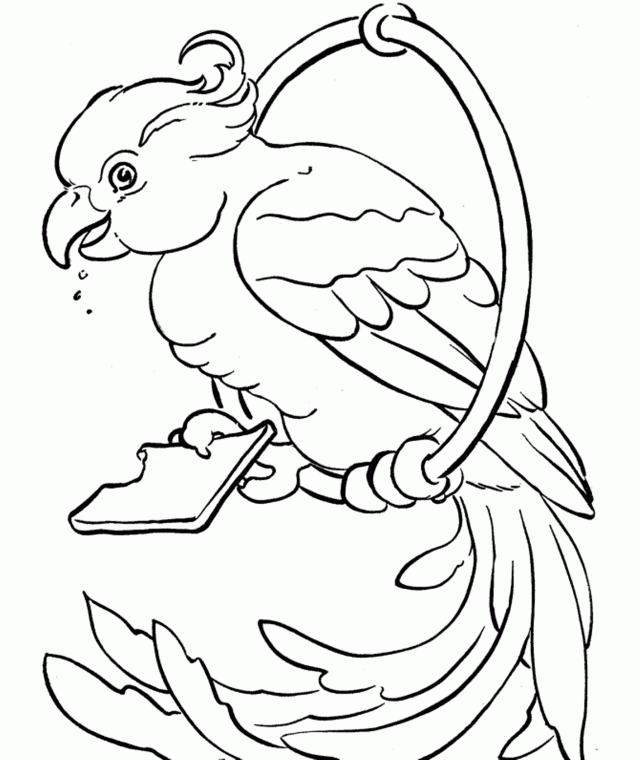 Download Parrot Bird Coloring Page Or Print Parrot Bird Coloring 