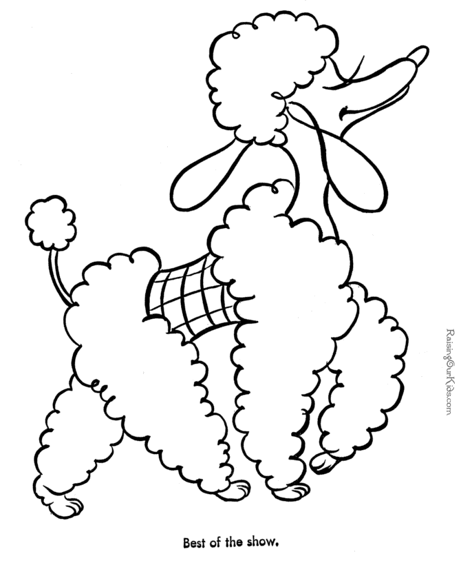 poodle | Dog Coloring Pages