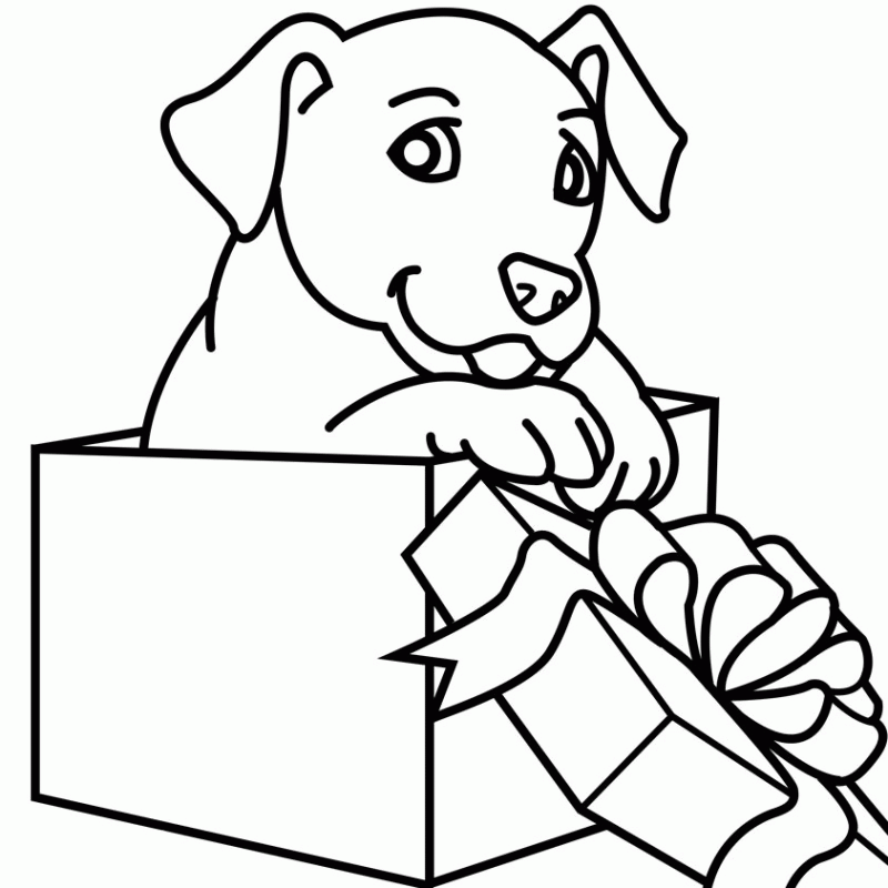 Puppy Coloring Pages 2013 | Printable Coloring Pages