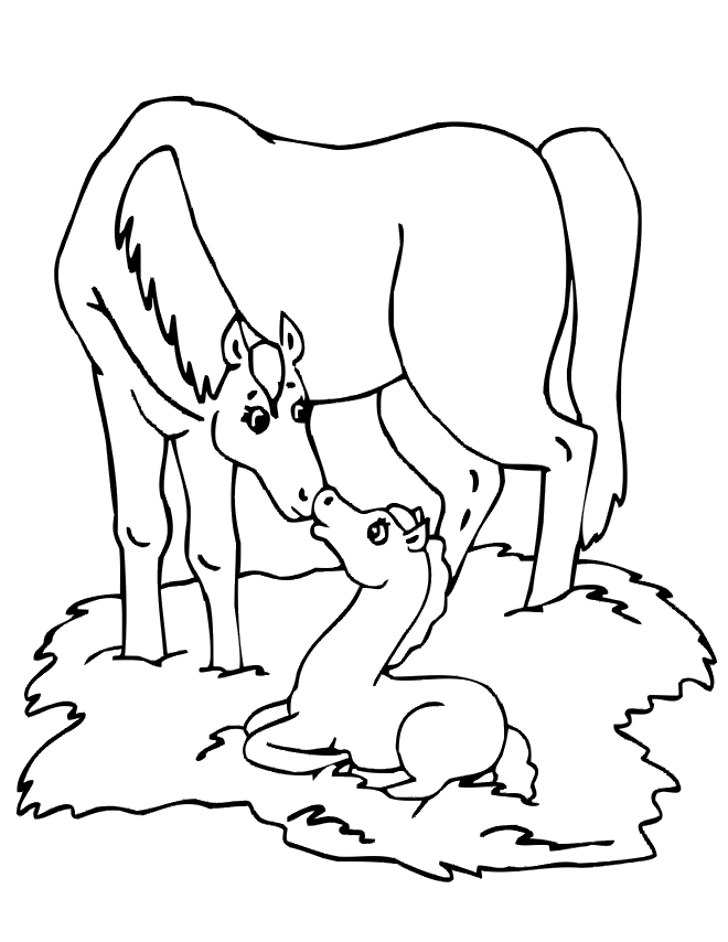 Baby Horse and His Mom Coloring Pages to Print : New Coloring Pages