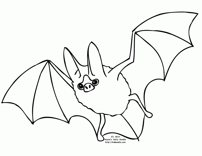 flying fox bat Colouring Pages (page 2)