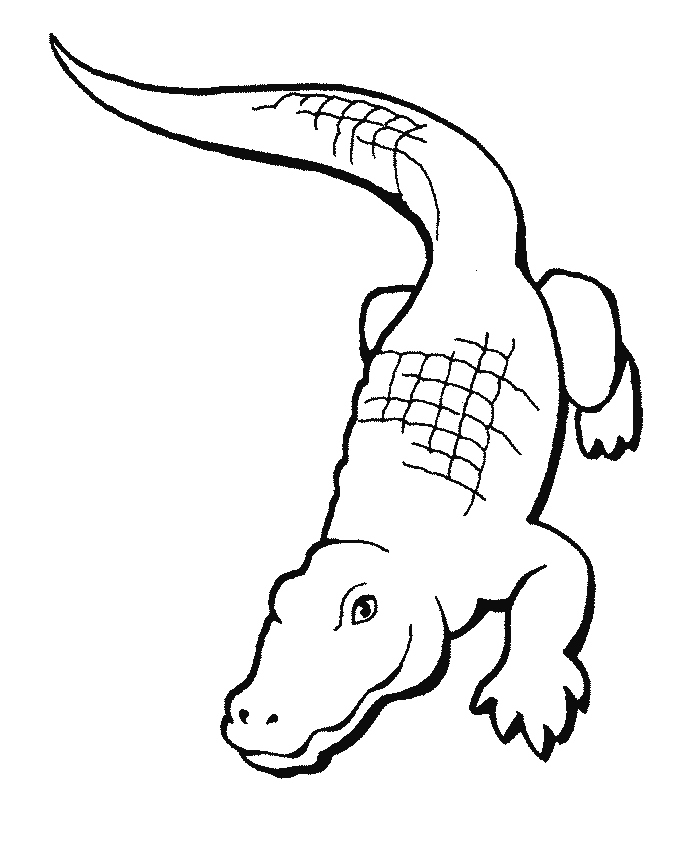 alligator puppet Colouring Pages