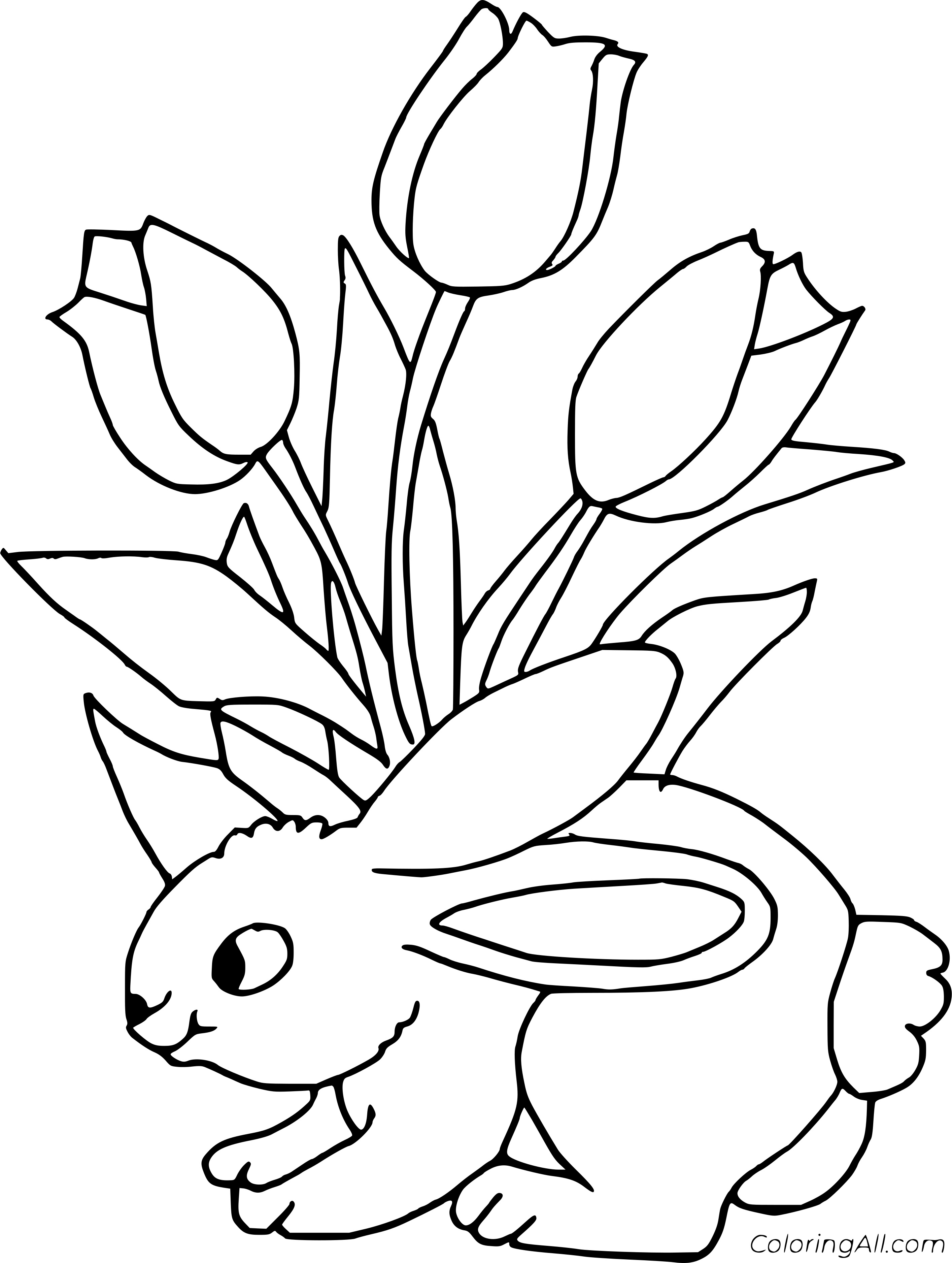 rabbit coloring pages 2014