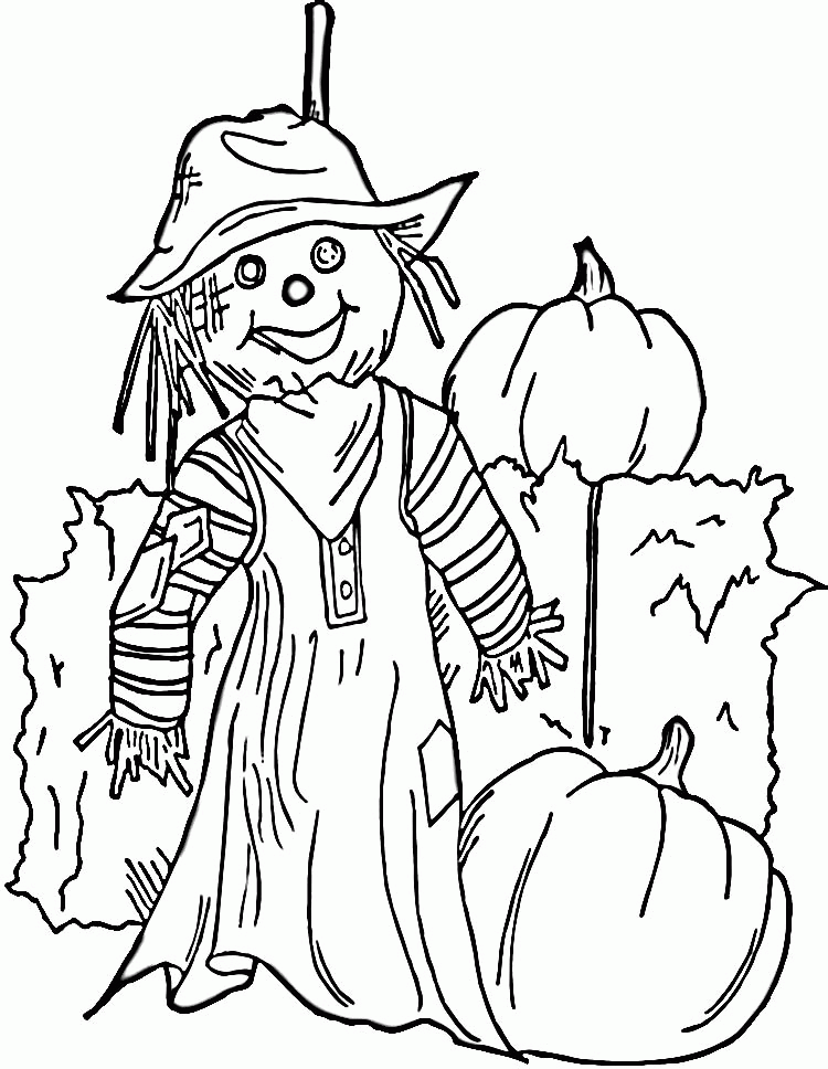 Baby Penguin Coloring Pages | Kids Coloring Pages | Printable Free 