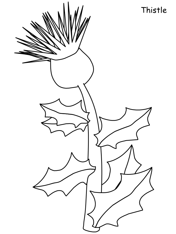 Page 5 | Flower coloring pages | Coloring-