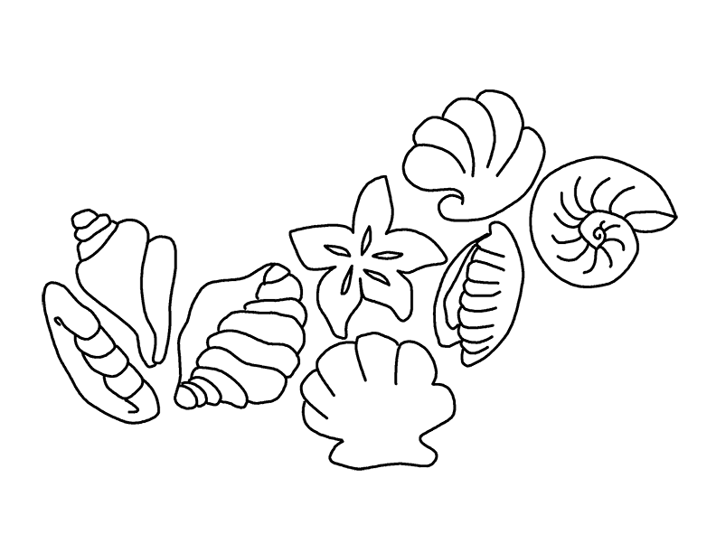 Seashell Coloring Pages Printable 262 | Free Printable Coloring Pages