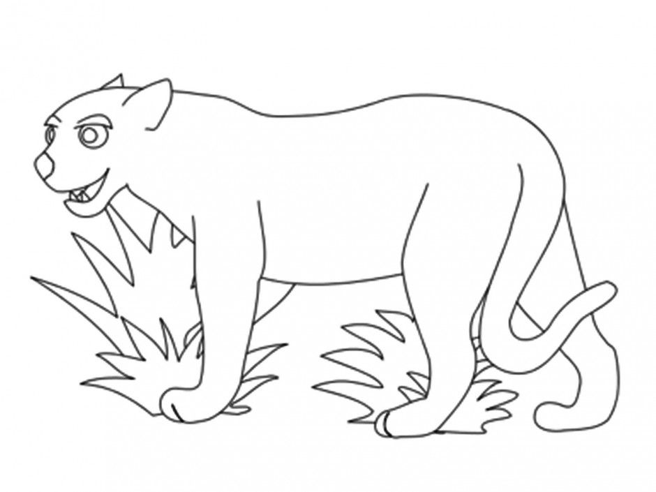 Rainforest Animals Coloring Pages Jaguar Coloring Pages For Kids 
