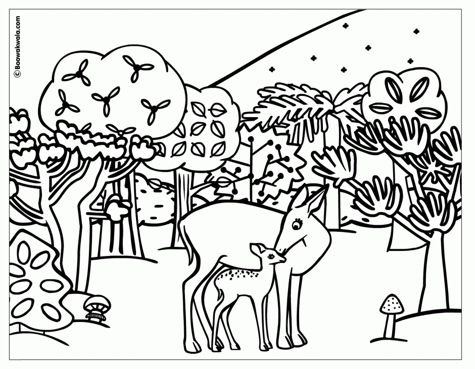 Zoo Animals Coloring Pages Royalty Free RF Clipart Illustration Of 