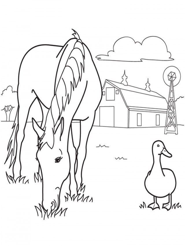 Wild Horse Coloring Pages 30209 Label Free Printable Wild Horse 