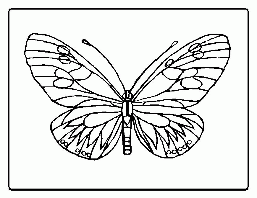Coloring Pages Of A Butterfly 10 | Free Printable Coloring Pages