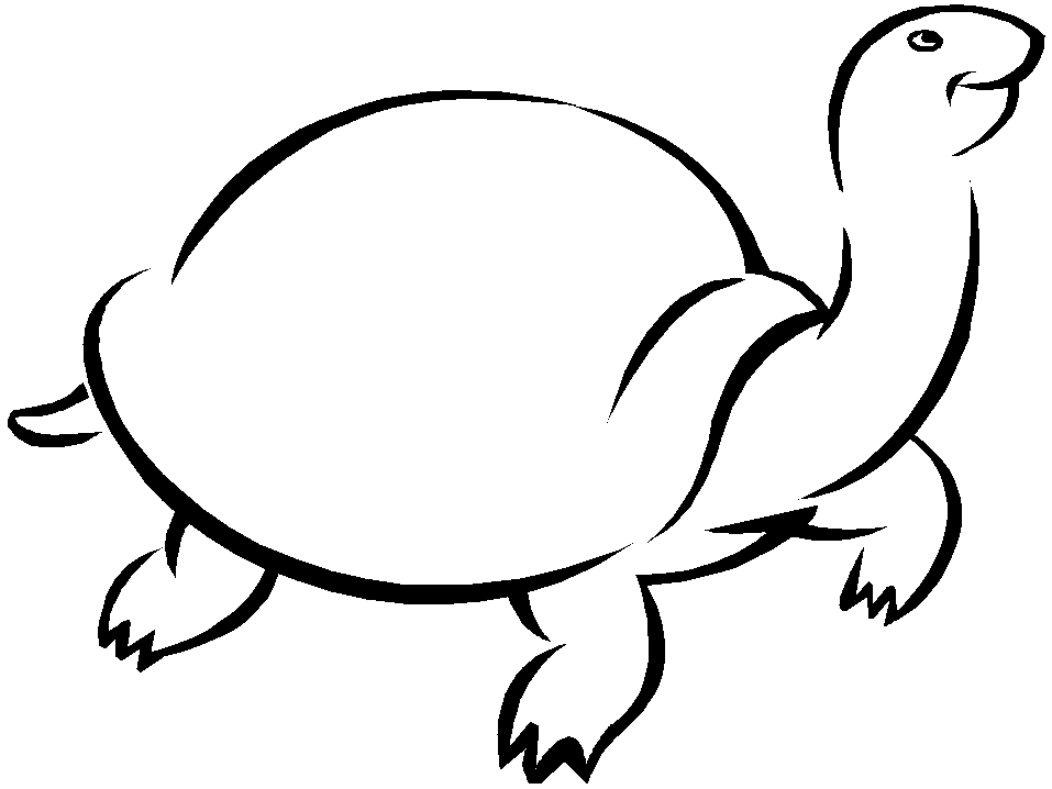 Printable Turtles K5 Animals Coloring Pages