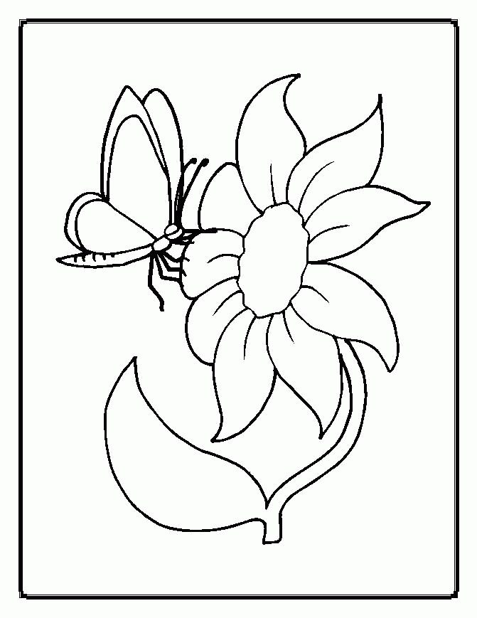 images > flowers coloring > FLOWERS,COLORING,PAGES,PRINTABLE 