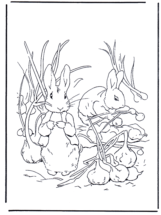 rabbit sketch Colouring Pages