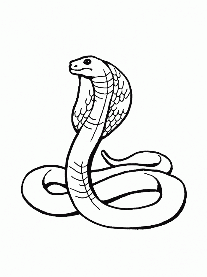 Reptile Coloring Pages