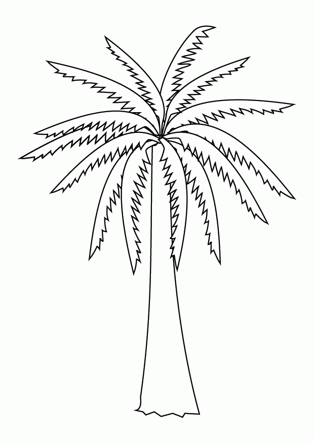 Palm-tree-coloring-4 | Free Coloring Page Site