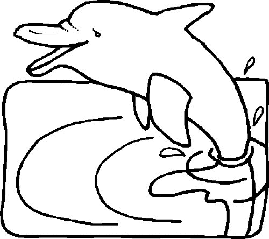 Dolphins Coloring Pages 7 | Free Printable Coloring Pages 