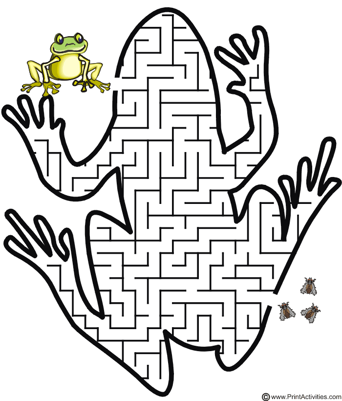 Frog Maze
