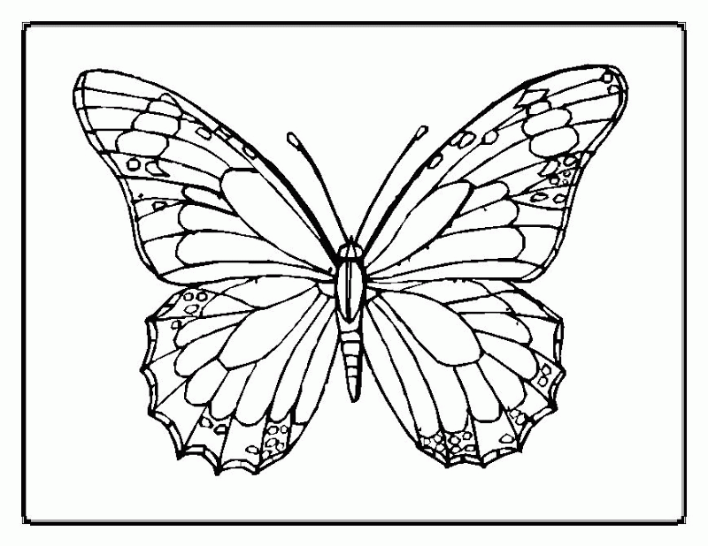 Free Spring Flower Coloring Pages