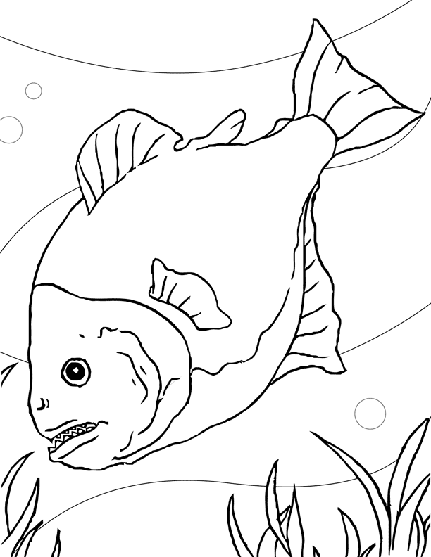 Piranha coloring page - Animals Town - animals color sheet 