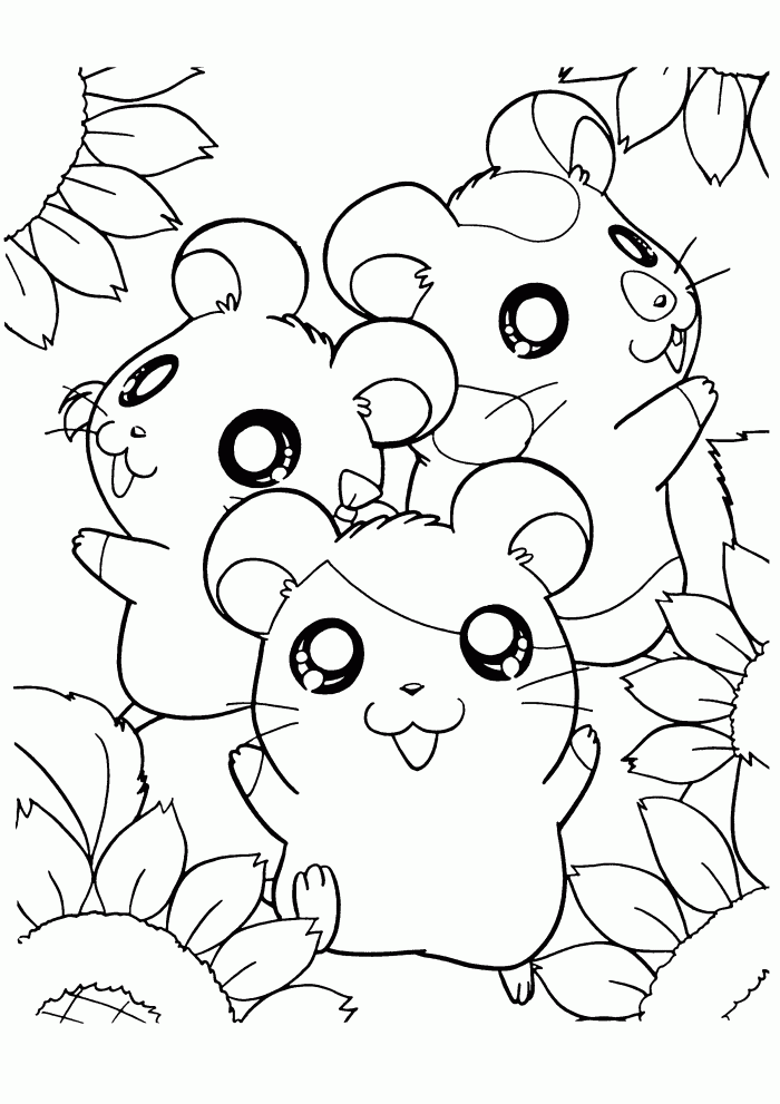 Hamsters Playing Around Coloring Page | Kids Coloring Page