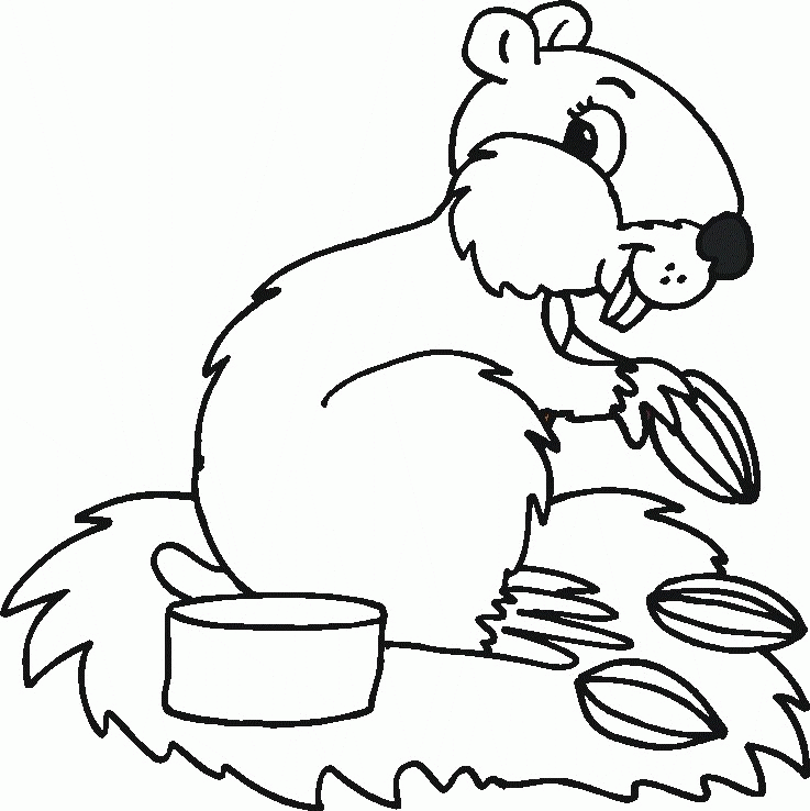 hamster coloring page | Coloring Pages for Kids Printable