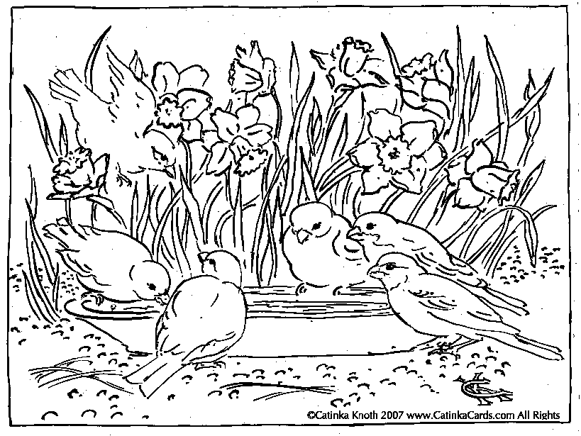 Spring Coloring Pages Uszrve | Coloring Pages - Coloring Pages