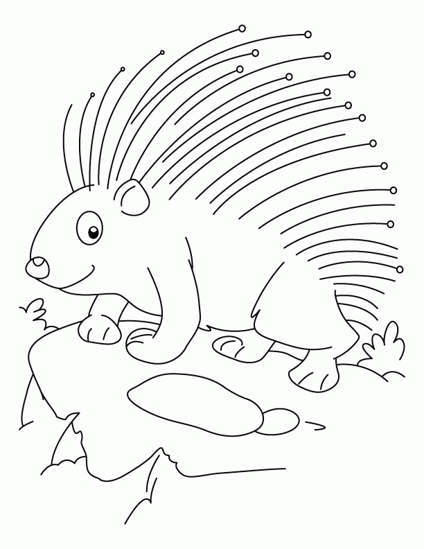 Threatened porcupine coloring pages | Download Free Threatened 