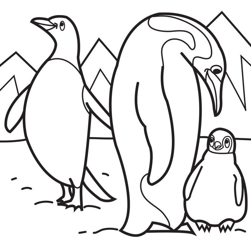 penguin family coloring page image pages