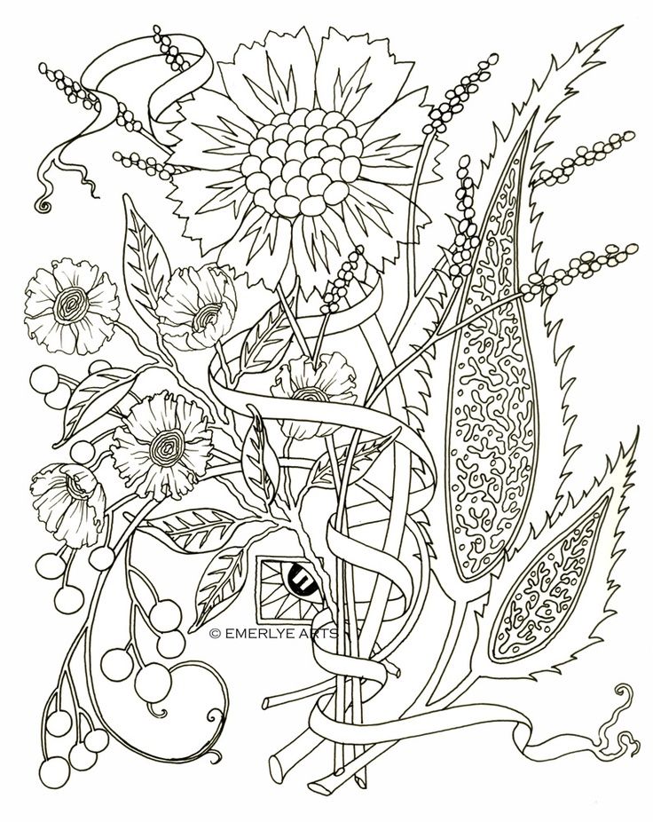 Coloring Pages For Adults Pdf | Free coloring pages for kids