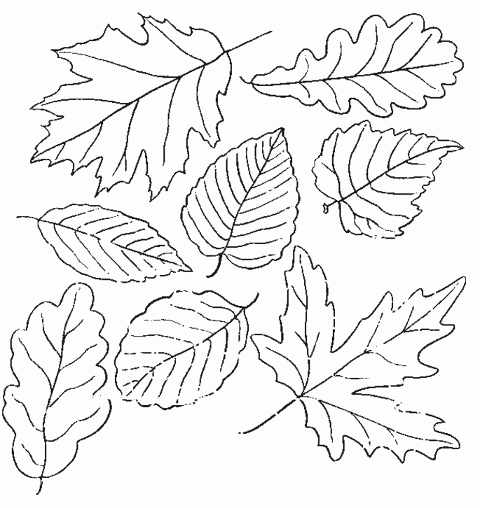 Coloring Pages Of Fall 83 | Free Printable Coloring Pages