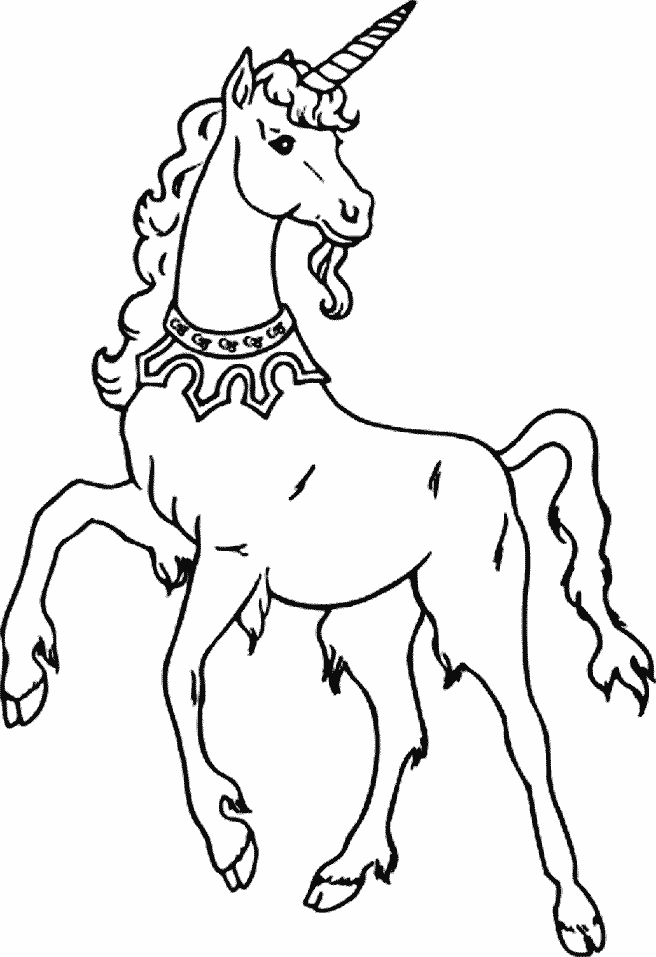 Printable Unicorns 14 Fantasy Coloring Pages - Coloringpagebook.com