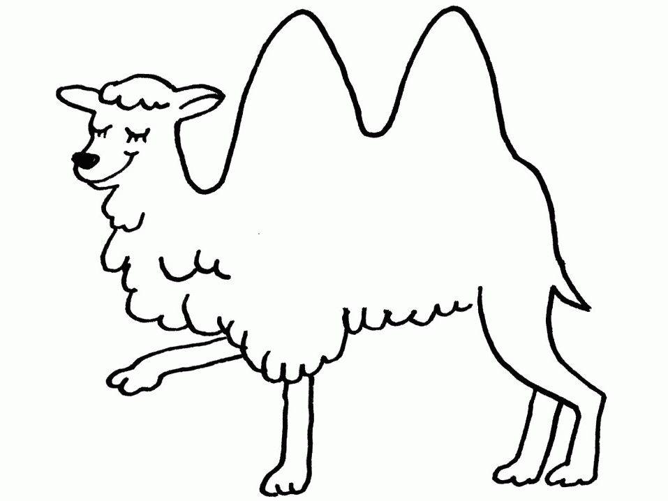 Coloring Page - Camel coloring pages 9