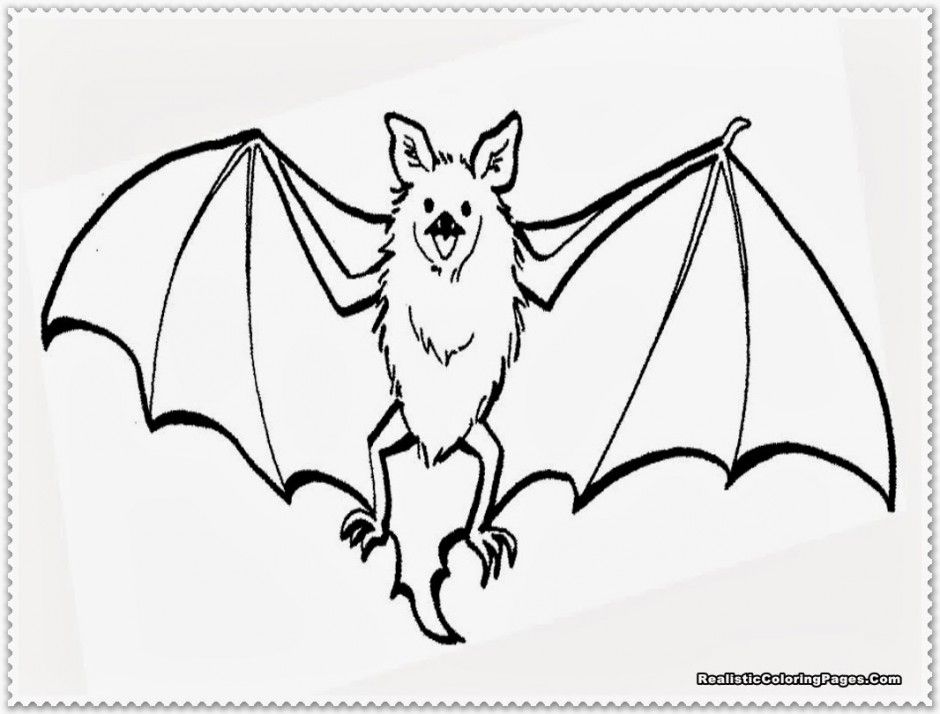 39 Bats Coloring Pages Free Coloring Page Site 233350 Coloring 
