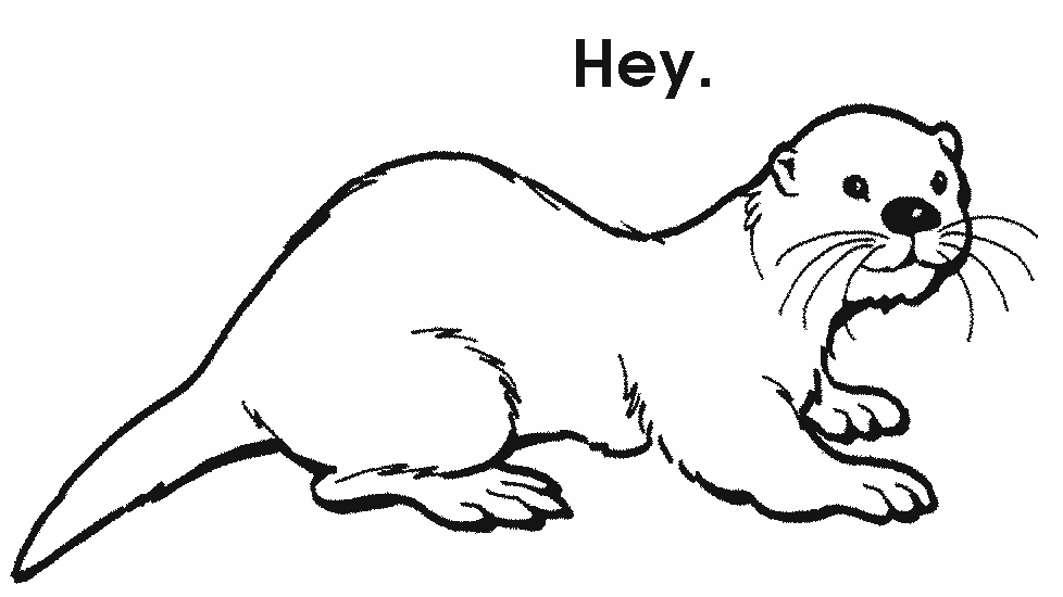 draw otter - Quoteko.