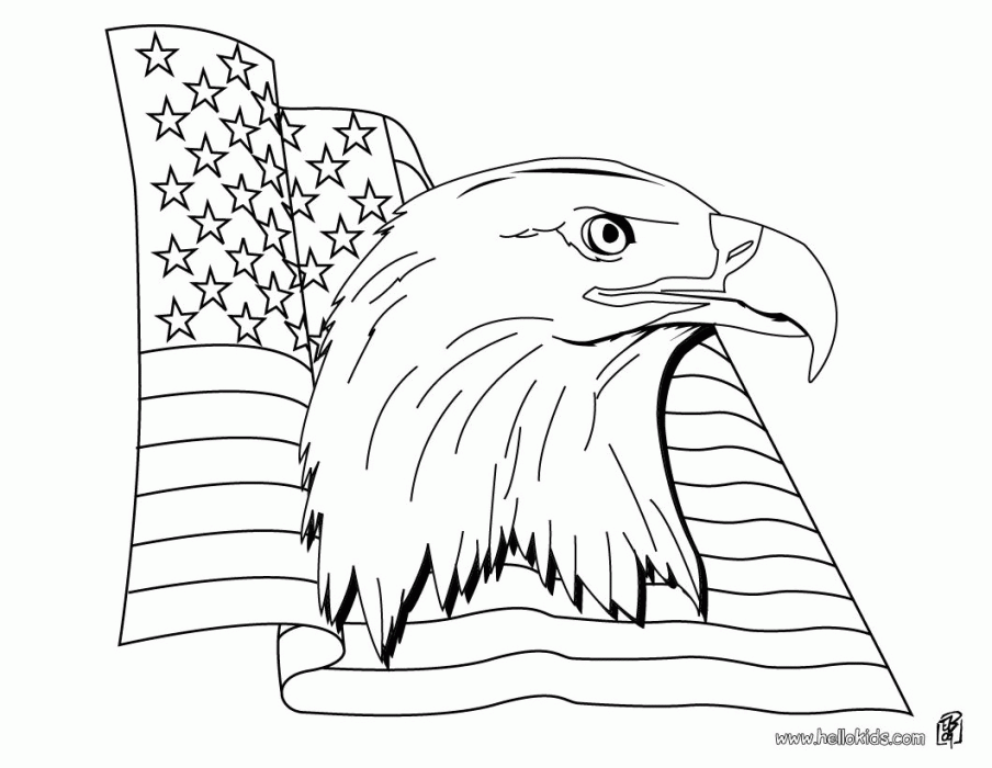 Bald Eagle Coloring Pages For Kids | 99coloring.com