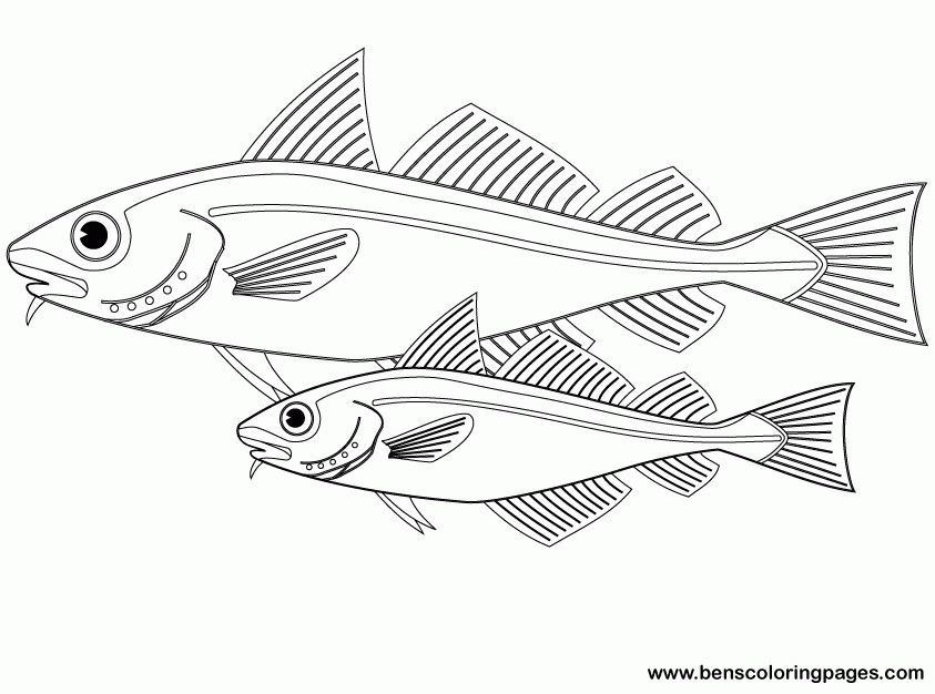 Fish coloring pages for kids