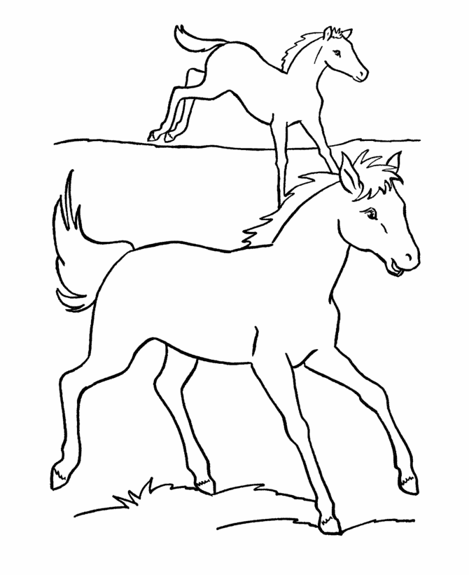 Horse Coloring Pages | Printable Horses run in the pasture ...