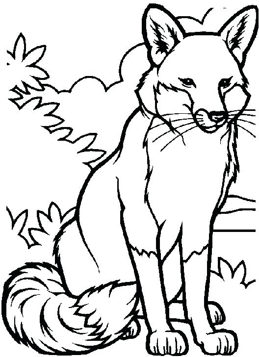 Fox Coloring Pages Free Printable at GetDrawings | Free download