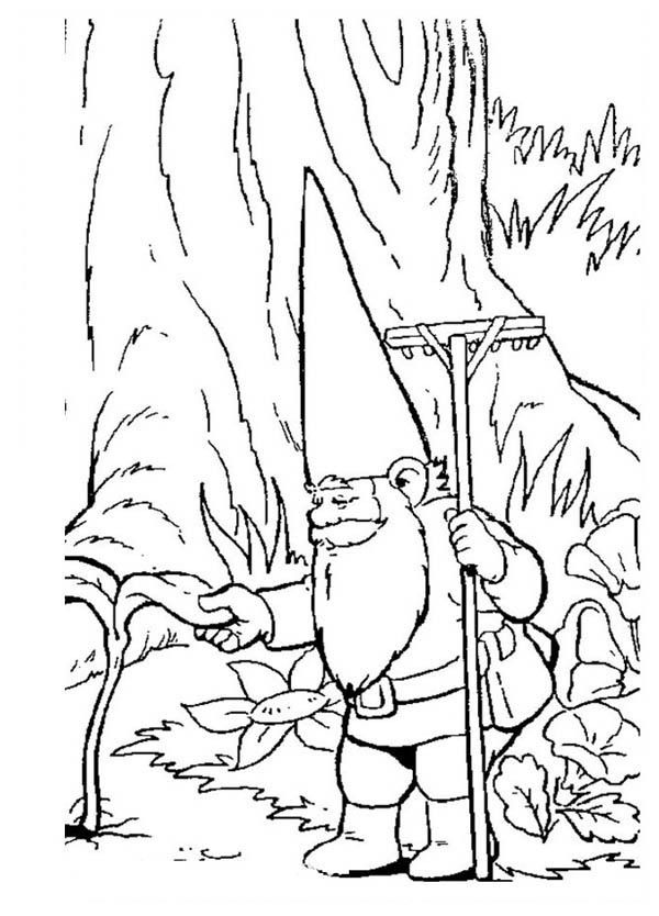 David the Gnome Checking His Plant Coloring Pages : Batch Coloring
