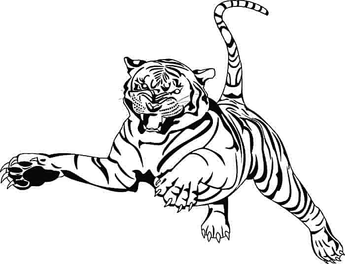 Tiger Coloring Pages & The A - Z Of Tiger's Facts - StPeteFest.org