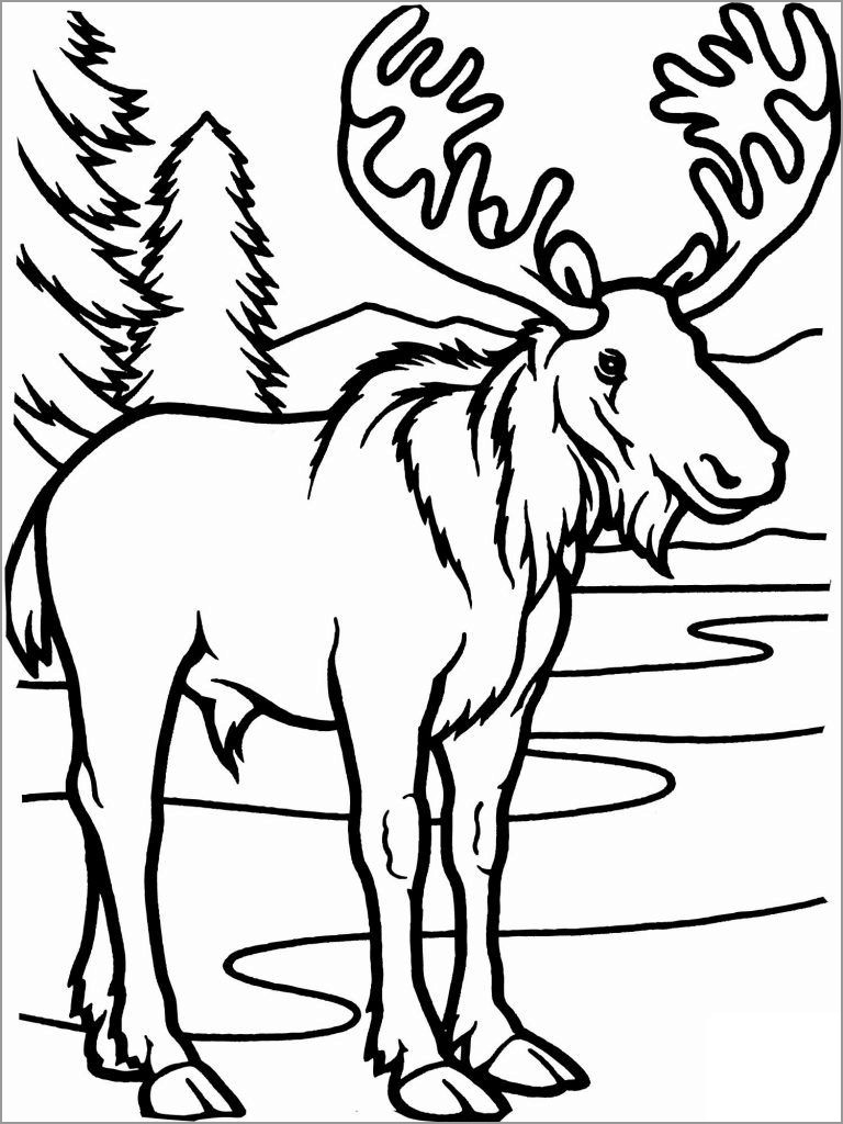 Coloring Page Of Caribou - ColoringBay